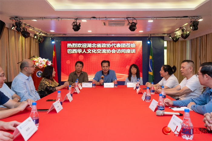 湖北省政协经济委员会主任王兆民(中)在座谈会上致辞。 人民网记者 陈海琪摄