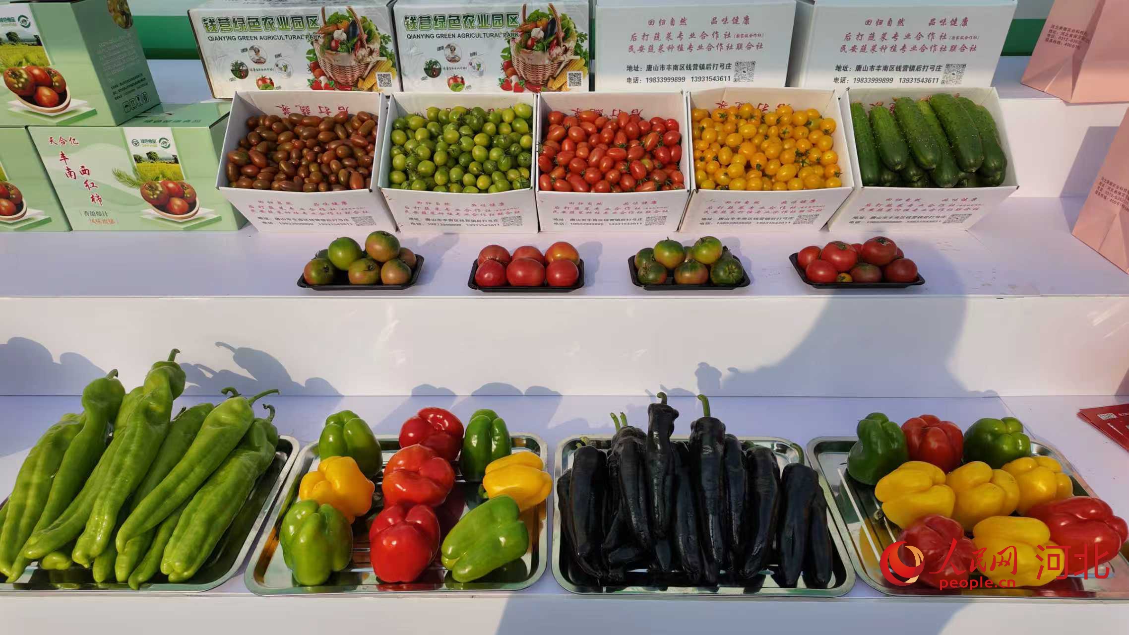 展区蔬菜。人民网 于雪晴摄