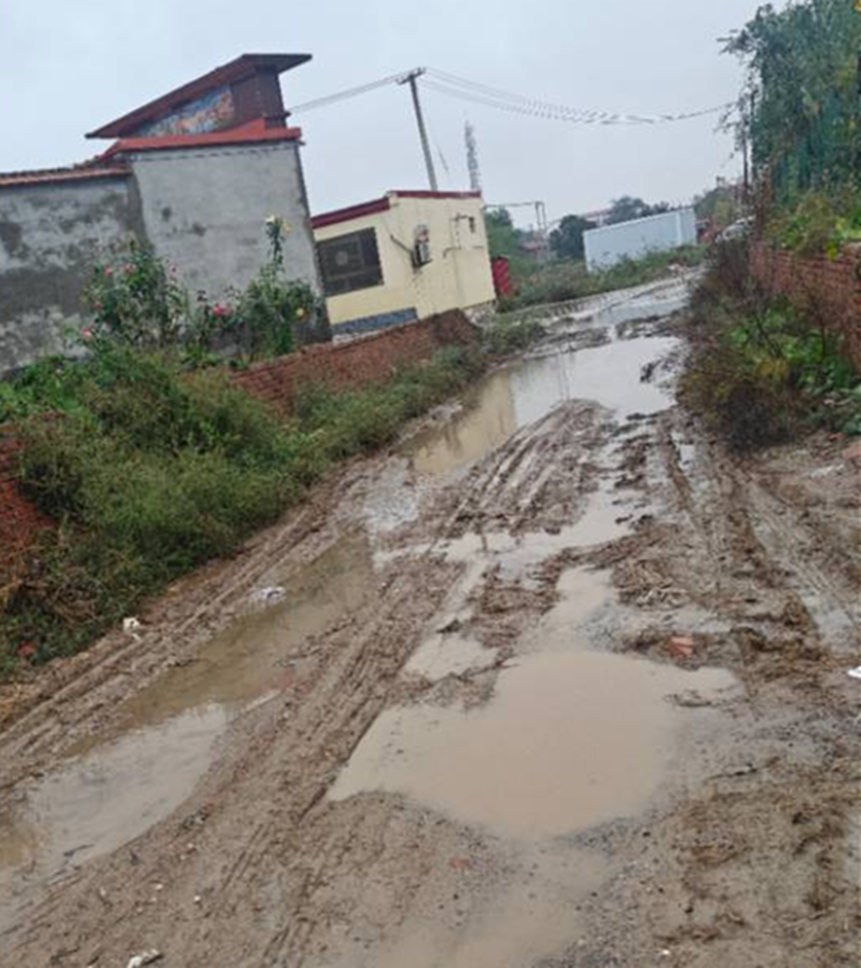 网民张女士拍摄的家门口的泥泞道路(修路前)。网民供图