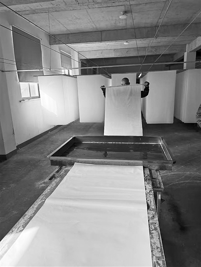 宣纸加工制作中，师傅用黄柏对纸张进行染色以达到防虫作用。