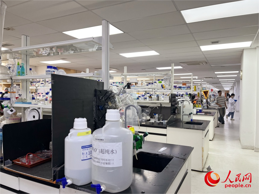 福建农林大学实验室。人民网记者 林铭贤摄