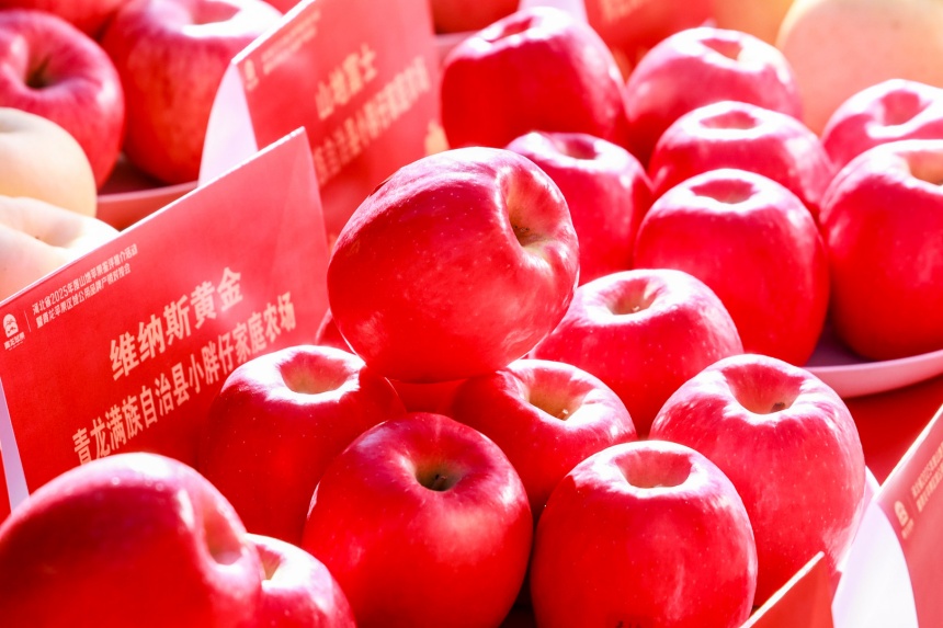 青龙苹果。青龙满族自治县委宣传部供图