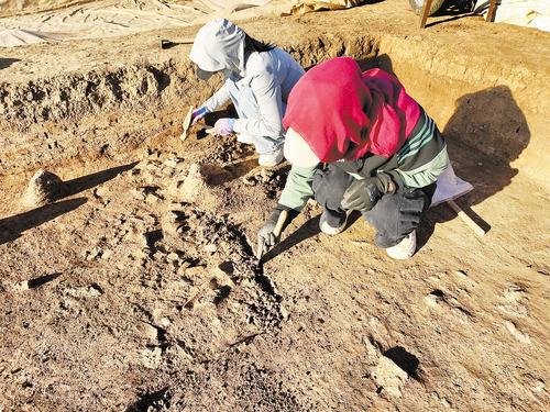 9月18日拍摄的平泉东山头遗址考古现场。 河北省文物考古研究院供图