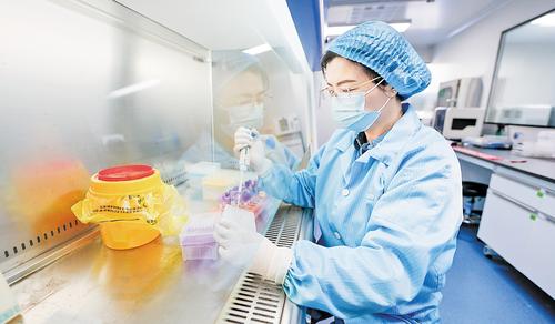11月21日，在雄安妙心生物科技有限公司基因检测实验室内，河北工程大学医学院检验系教授王珍在进行病原微生物核酸提取工作。 本组图片由本报见习记者李畅摄