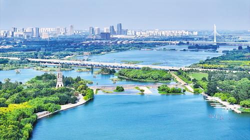 7月29日,石家庄滹沱河生态区苍翠葱茏、蓝绿交织。(本报资料片) 本报记者 史晟全摄