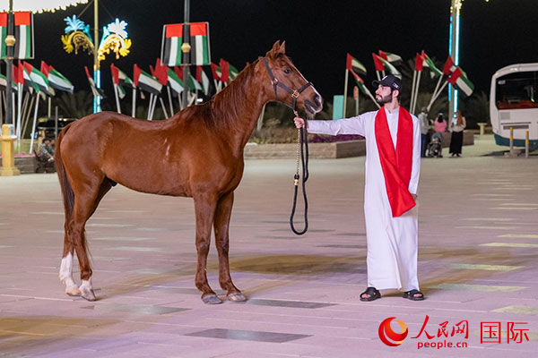 活动现场，阿拉伯骏马增添节日氛围。人民网 塔里克·易卜拉欣摄