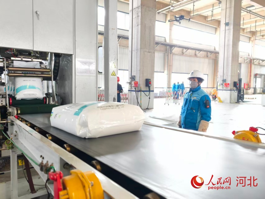 沧州大化的生产线。人民网记者 朱延生摄