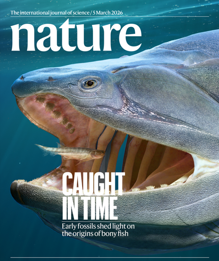 2026年3月5日《自然》杂志封面。图为始骨鱼(中)和宏颌鱼三维复原。中国科学院古脊椎所拟石古生物可视化实验室供图