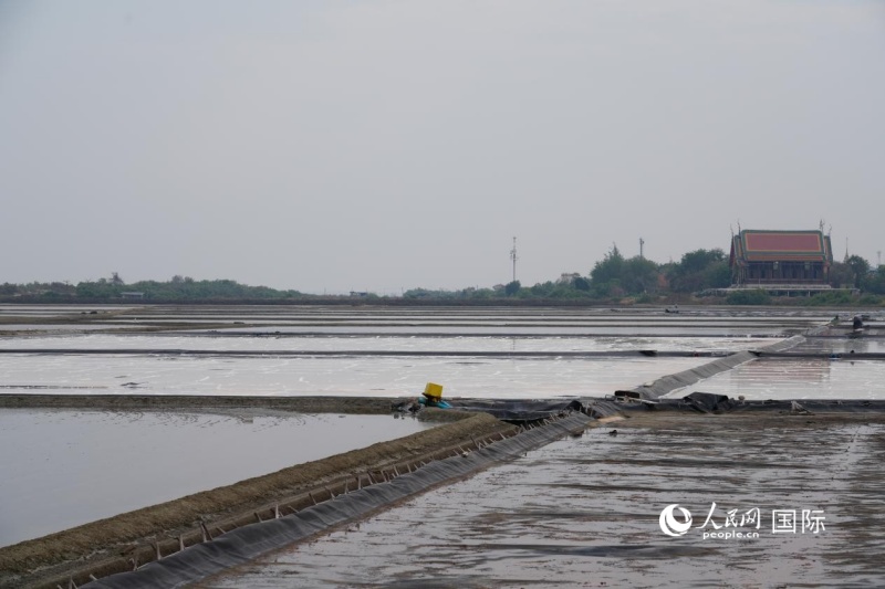 泰国碧武里府班兰县皇家示范海洋农场。人民网记者 简承渊摄